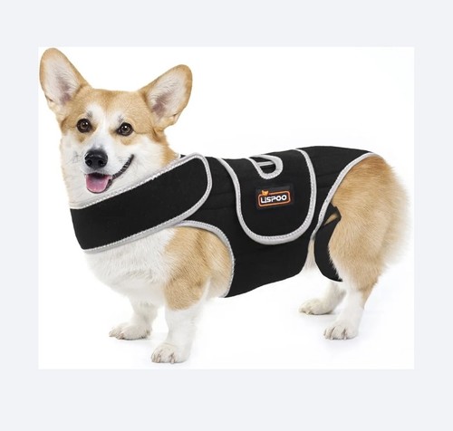Lispoo dog back brace for - s,
