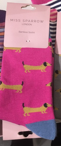 Miss sparrow dachshund - dachshund, socks
