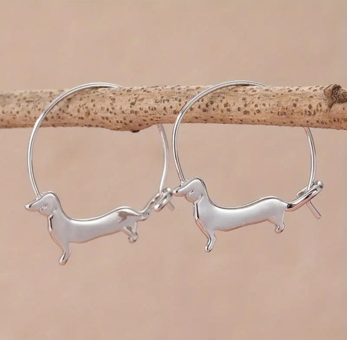 Pair of silvery - 🐶,