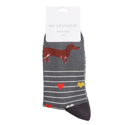 Sparrow dachshund dog - dachshund,