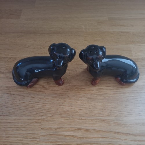 Dachshund salt pepper - salt, &
