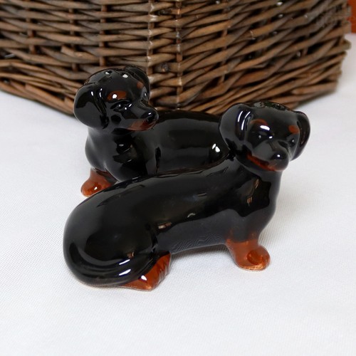 Dachshund salt and pepper - salt,