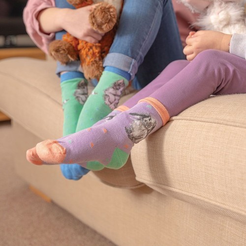 Wrendale designs children - designs, children's