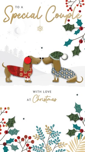 Special couple dachshund - special,