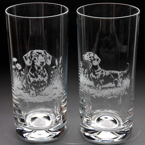 Dachshund dog highball glass - dachshund,