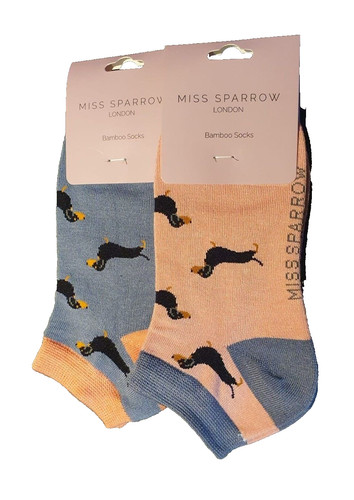 Miss sparrow dachshund - sparrow, socks