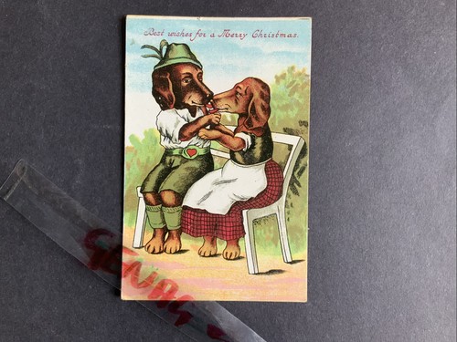 Dachshund loving couple - dachshund,