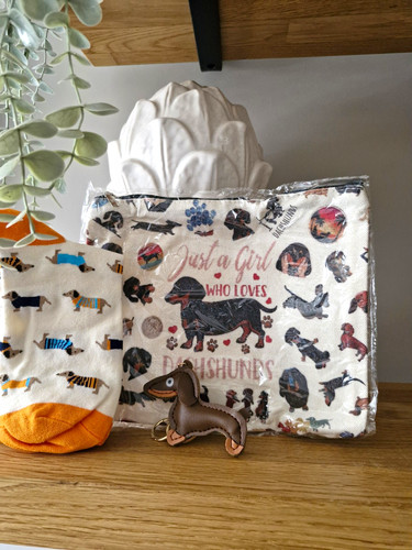 White orange dachshund - dachshund, dog