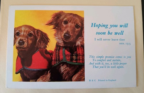 Dog postcard greetings - postcard,, greetings,