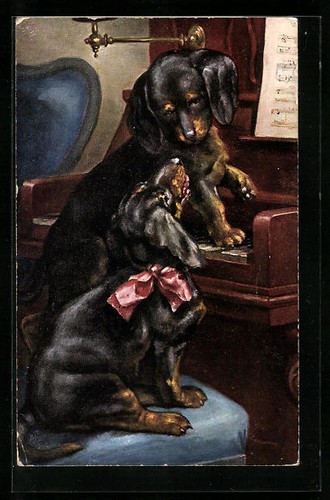 Postcard pair of - of, a