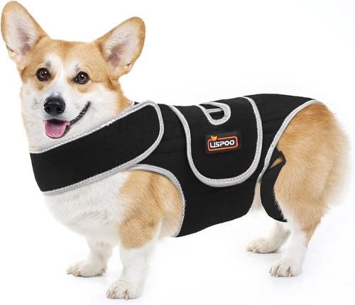 Dog back brace - back, for