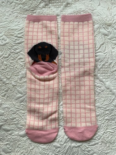 Pair sausage dachshund - sausage,