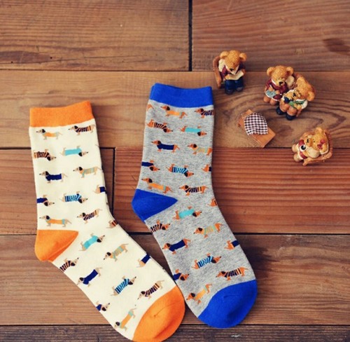 Cute dachshund novelty sausage - cute,