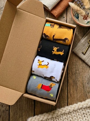 Funky shmunky dachshund dog - funky,