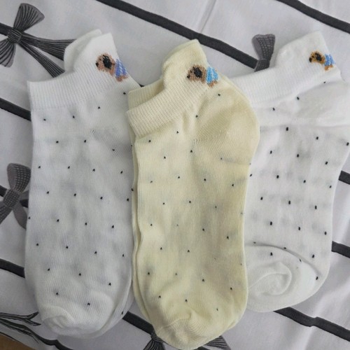 New pairs dachshund - of,