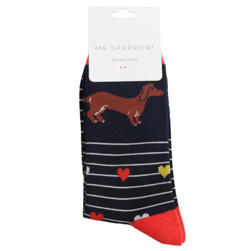 Sparrow dachshund dog - dachshund, socks