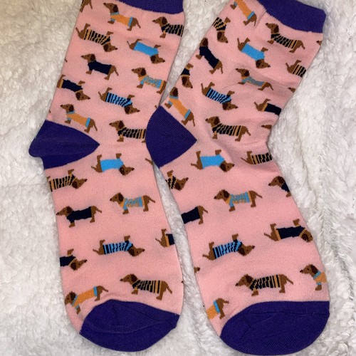 Dachshund sausage dog design - dog,