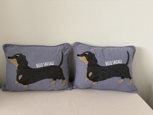 Next hello sausage dachshund - next,