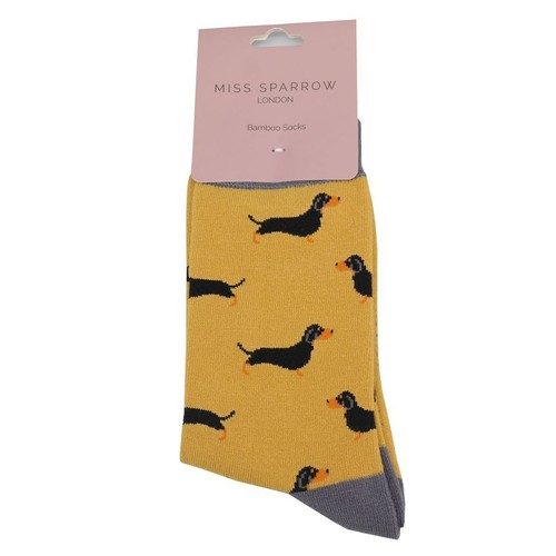Miss sparrow dachshund - sparrow, socks