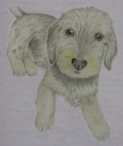 Dachshund shirts mths - t-shirts,
