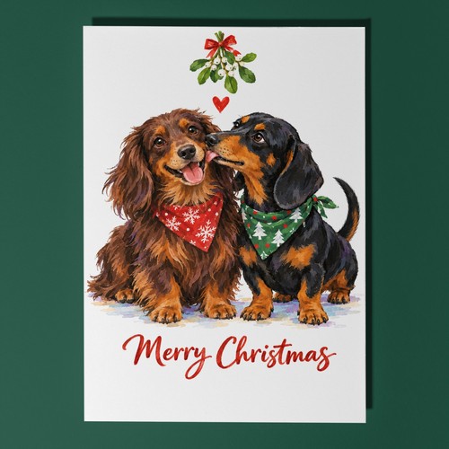 Dachshund pair christmas - dachshund, card
