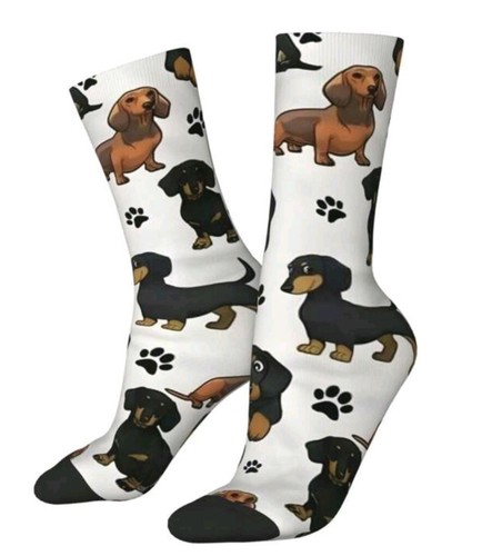 New pair dachshund dog - new,,
