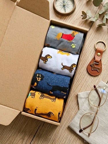 Funky shmunky dachshund - funky,