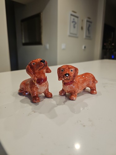 Set dachshunds adorable - of,
